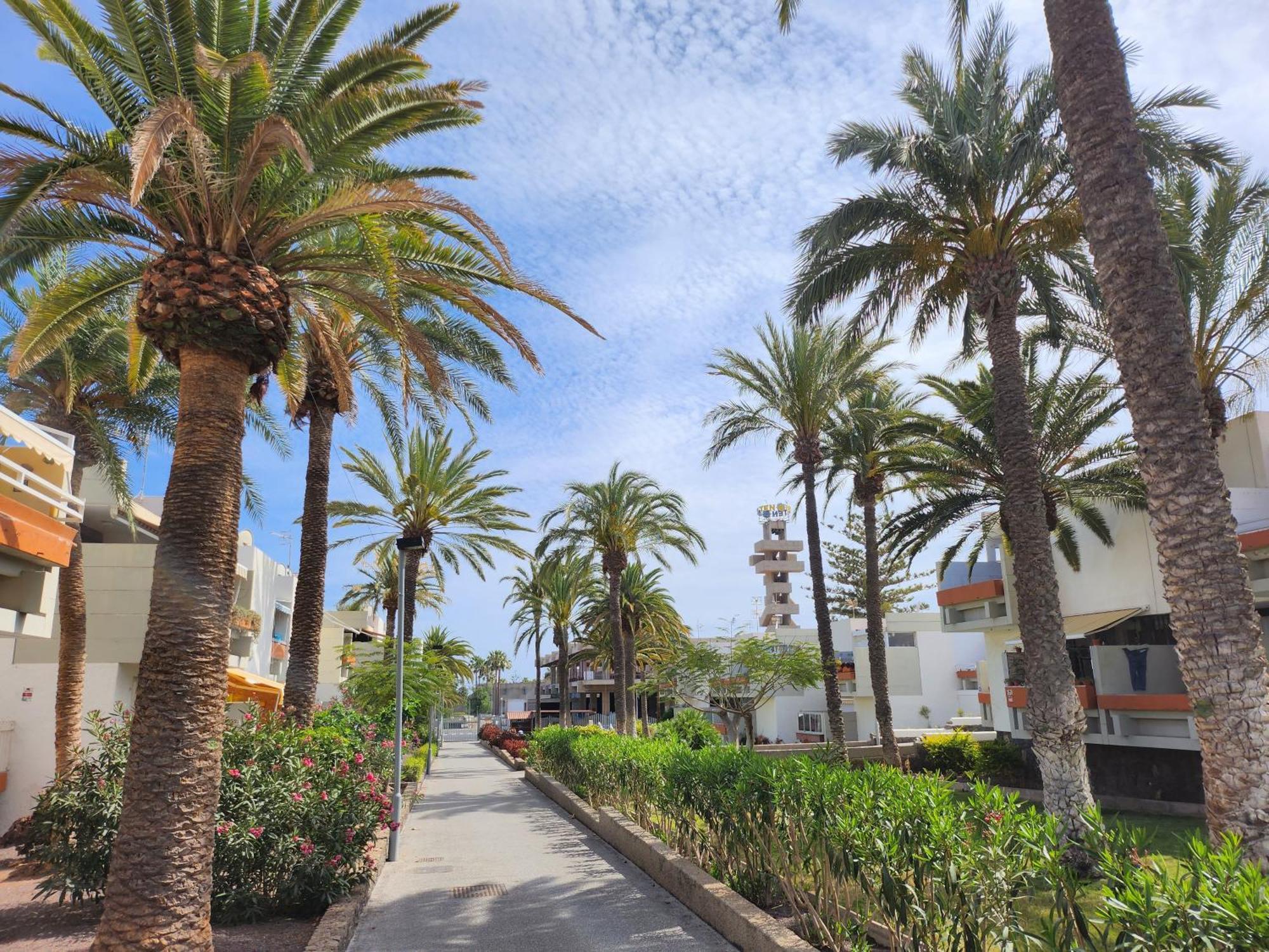 Tenerife Sunshine South Apartment Beach By La Ballena Арона Экстерьер фото